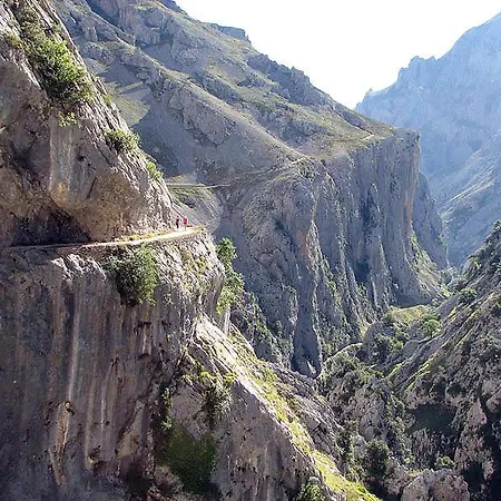 El Nieru De Rio * Arenas De Cabrales
