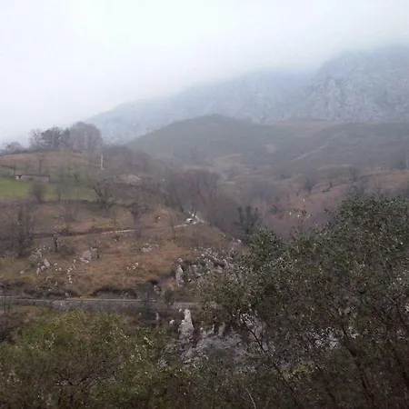 El Nieru De Rio