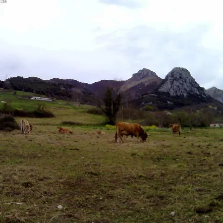 El Nieru De Rio Feriehus